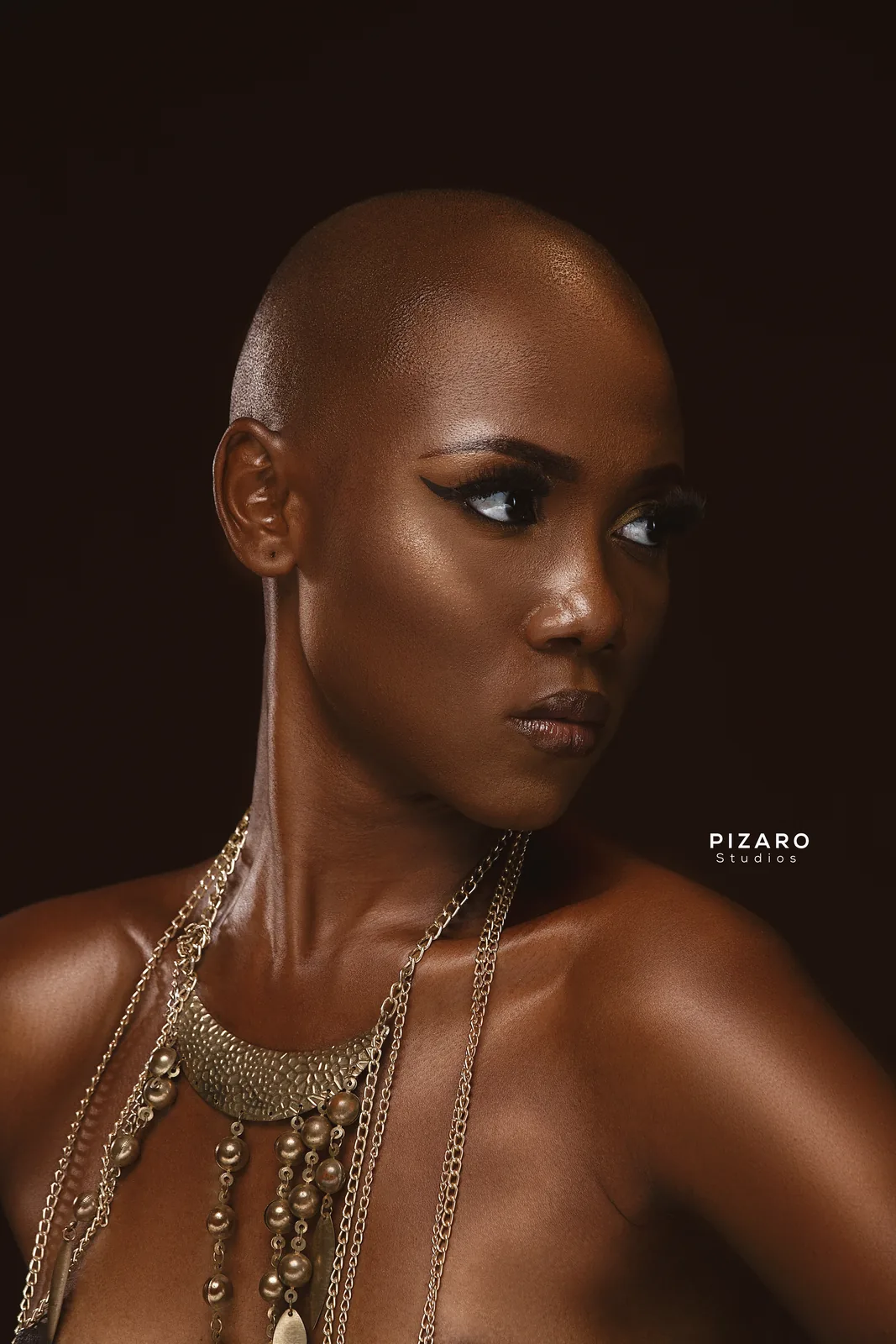Pizaro Studios portrait — Verdant