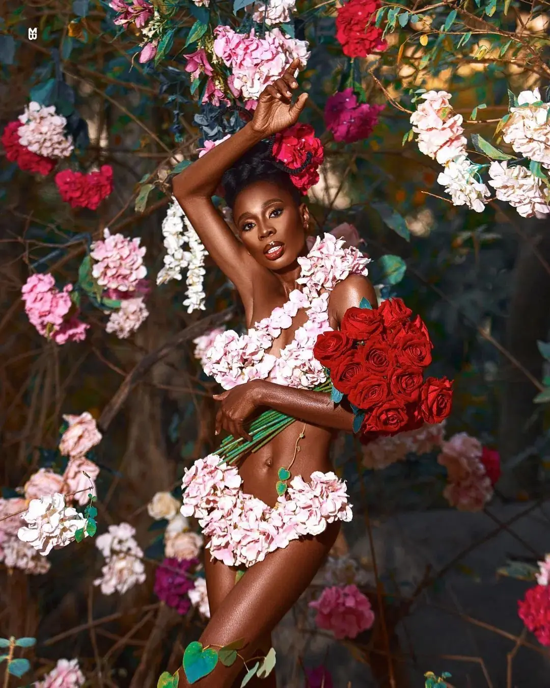 Fine Art — Roses II | Pizaro Studios